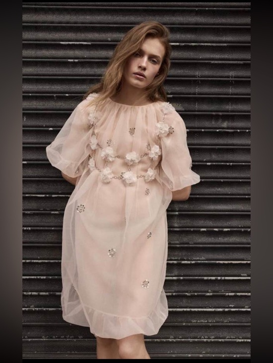 Zara Dresses & Skirts - Zara tull dress